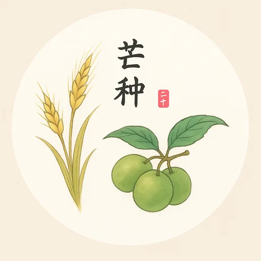 主题预览 - 水墨节气食材