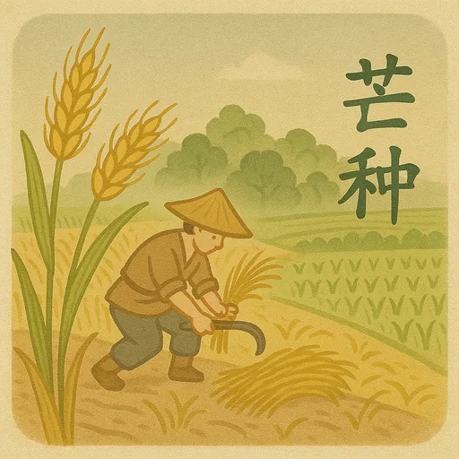 主题预览 - 经典